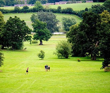 Open fields on the edge of Barugh Green