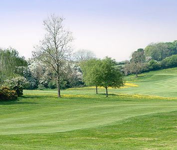 Open countryside on the edge of Beverley, the gently wooded farmland and meadows that surround the East Riding market town