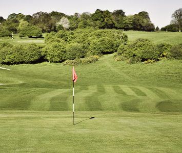 The golf course on Beverley Westwood, laid out across the town's historic common pasture on the western edge of Beverley