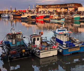 Fishing boats moored in Bridlington Harbour at golden hour — the working heart of what is Europe's largest shellfish port, famous as the "Lobster Capital of Europe"