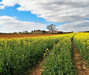 Farmland and open fields on the edge of Mexborough, in the Dearne Valley to the west of Doncaster