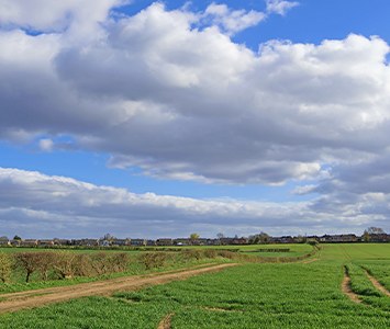 A field path beneath big skies in the farmland around Doncaster