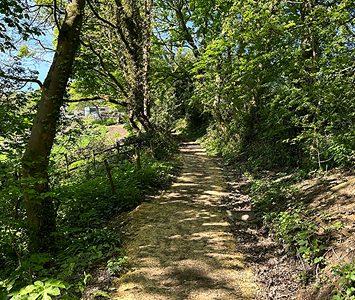 A sunlit woodland path on the wooded slopes around Shelf, the village set between Halifax and Bradford
