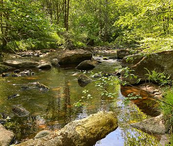 The wooded valley and stream at Hardcastle Crags, the National Trust beauty spot near Hebden Bridge in the wider Calderdale area