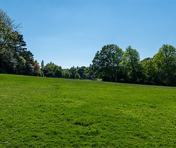 Open fields on the edge of Brinsworth, near Rotherham