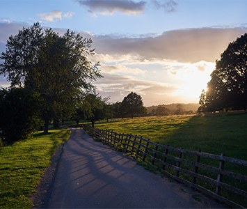 Parkland at Hellaby, on the outskirts of Rotherham