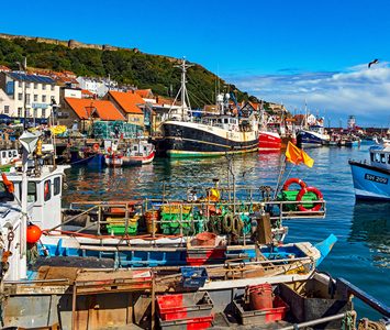 Fishing boats moored in Scarborough harbour, in the South Bay beneath the castle headland