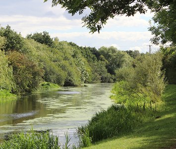 The tree-lined Selby Canal, a quiet leisure waterway winding through the countryside near Selby