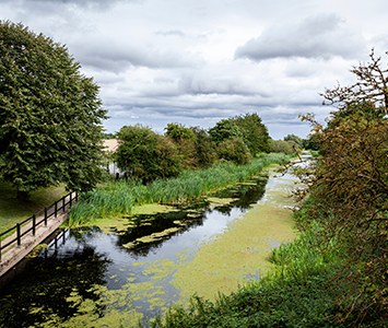 The Selby Canal, a quiet tree-lined waterway completed in 1778 that links the town to the Aire and Calder Navigation, now used mainly for leisure