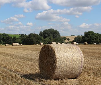 A round straw bale in a stubble field in the Yorkshire countryside, under a bright summer sky