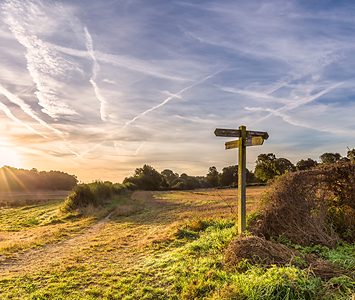 A waymarked footpath signpost on a country walk at sunrise in the Yorkshire countryside